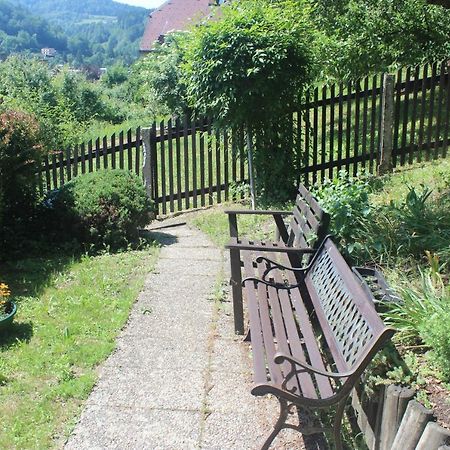 Apartmán Privat Železný Brod Exteriér fotografie