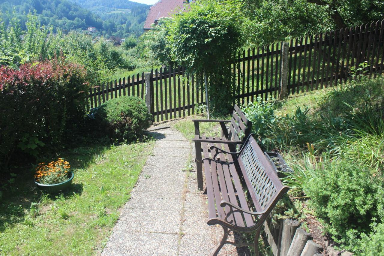 Apartmán Privat Železný Brod Exteriér fotografie